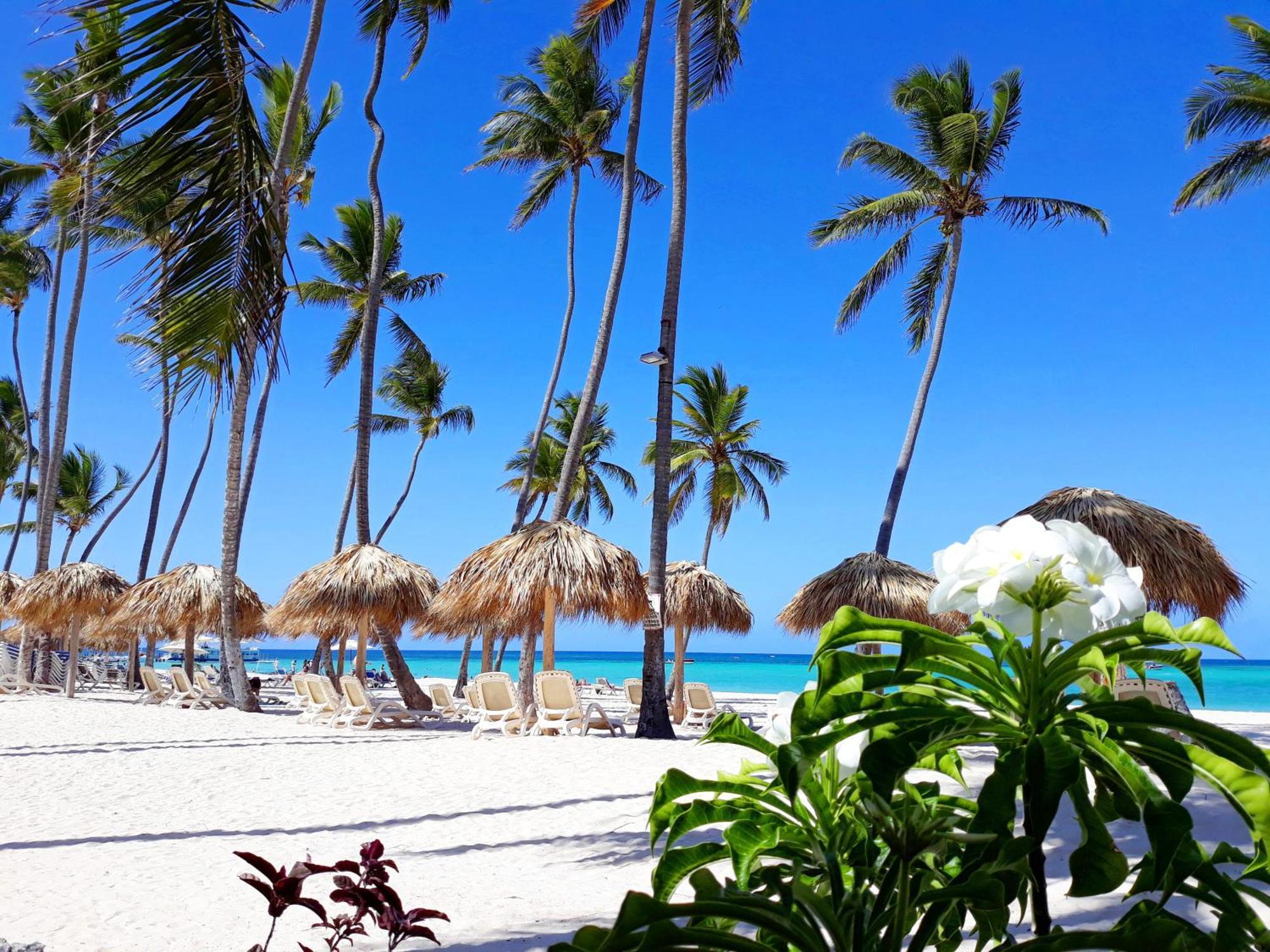 La Flor Del Caribe & Pousada Punta Cana