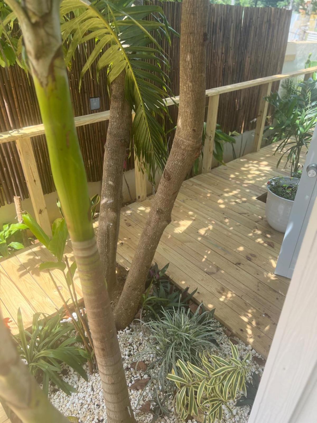 Bella Noni B&B Aguadilla