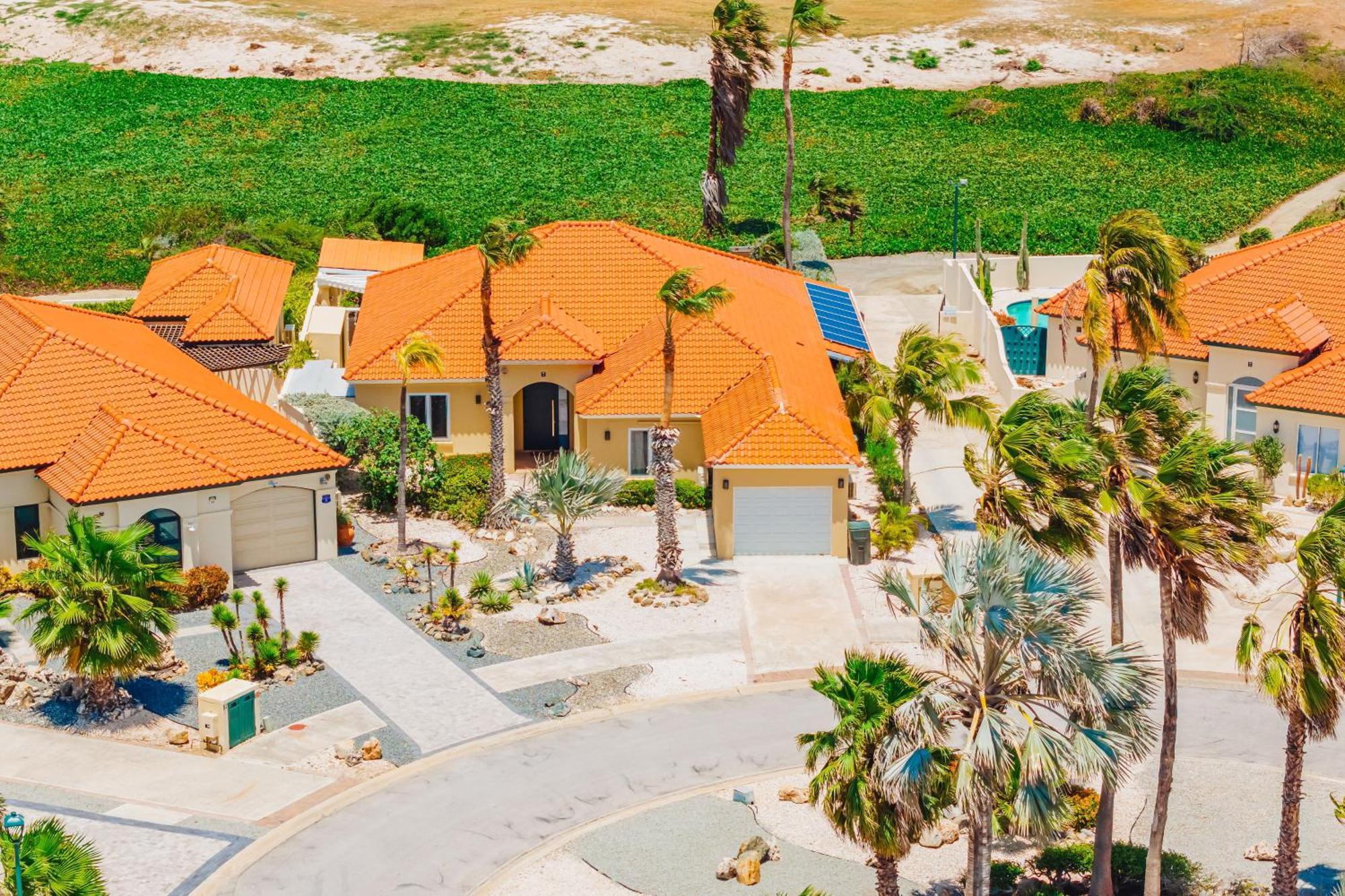 Aruba Dreams Palm Beach