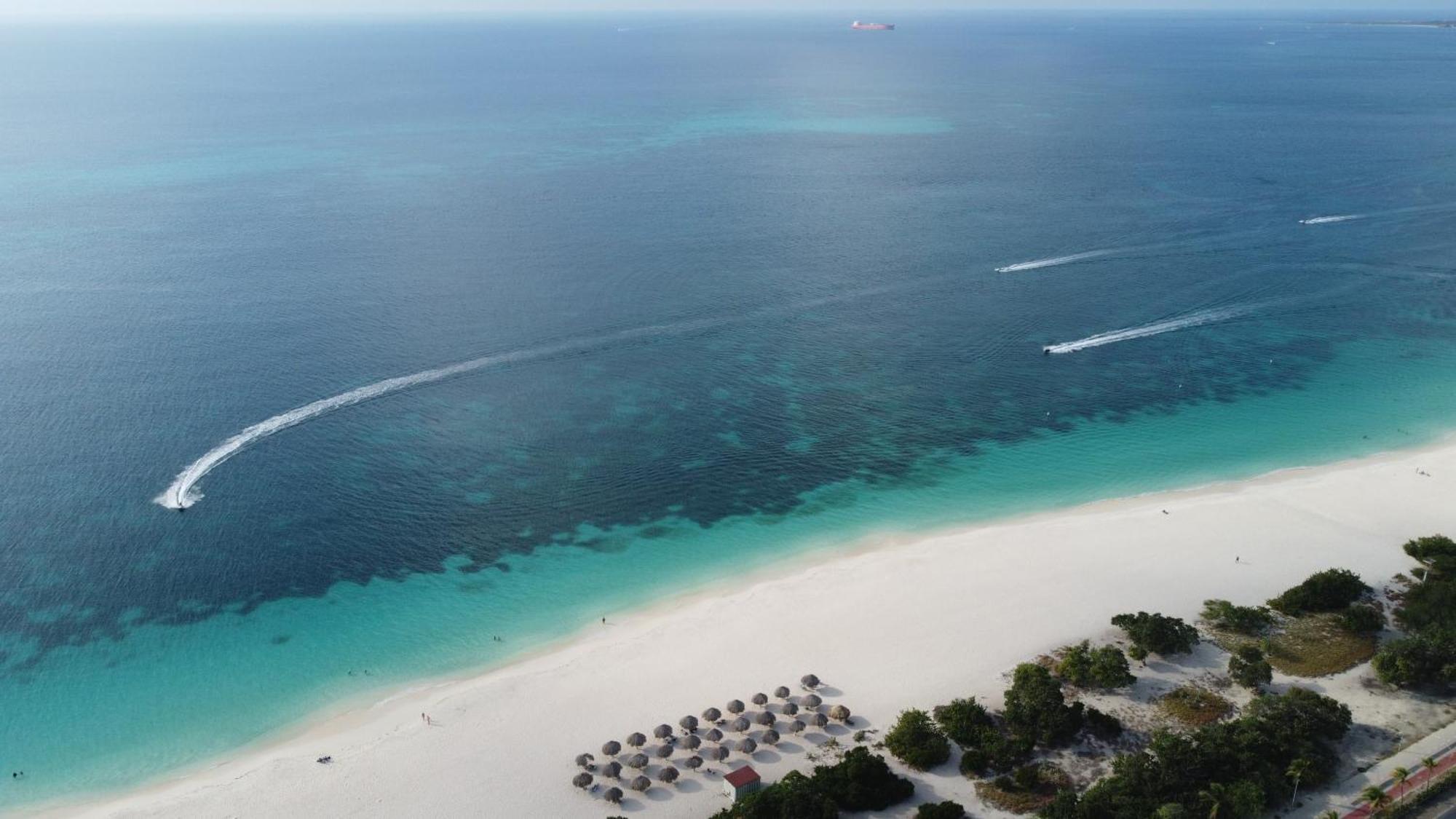 Aparthotel Le Vent Eagle By Bocobay Aruba Palm Beach
