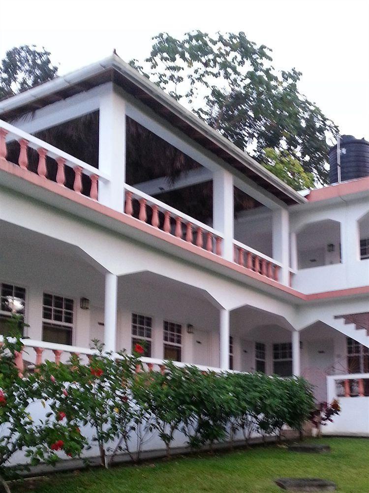 Polish Princess 2* Port Antonio