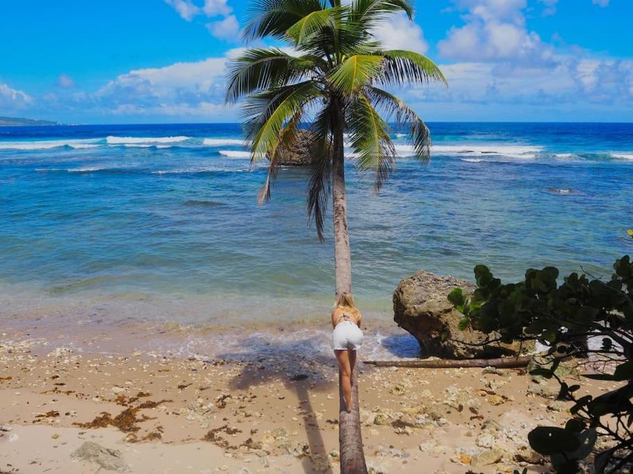 Little Diamond, Wooden Jungle House. Bathsheba. Casa de férias