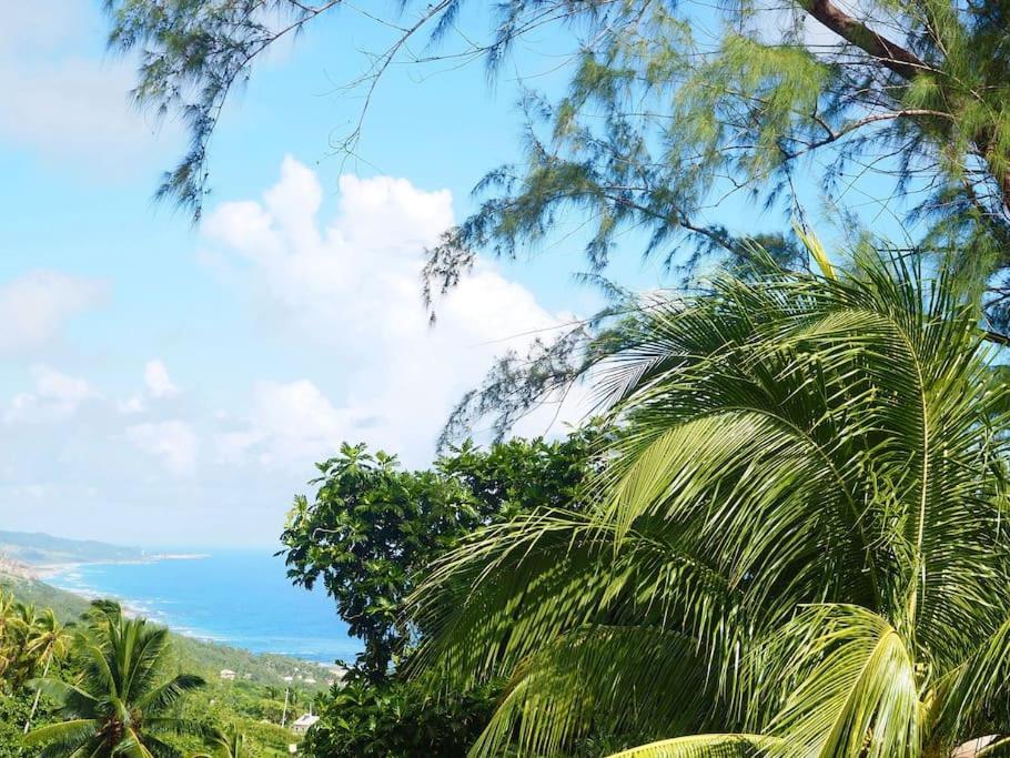 Little Diamond, Wooden Jungle House. Bathsheba. *