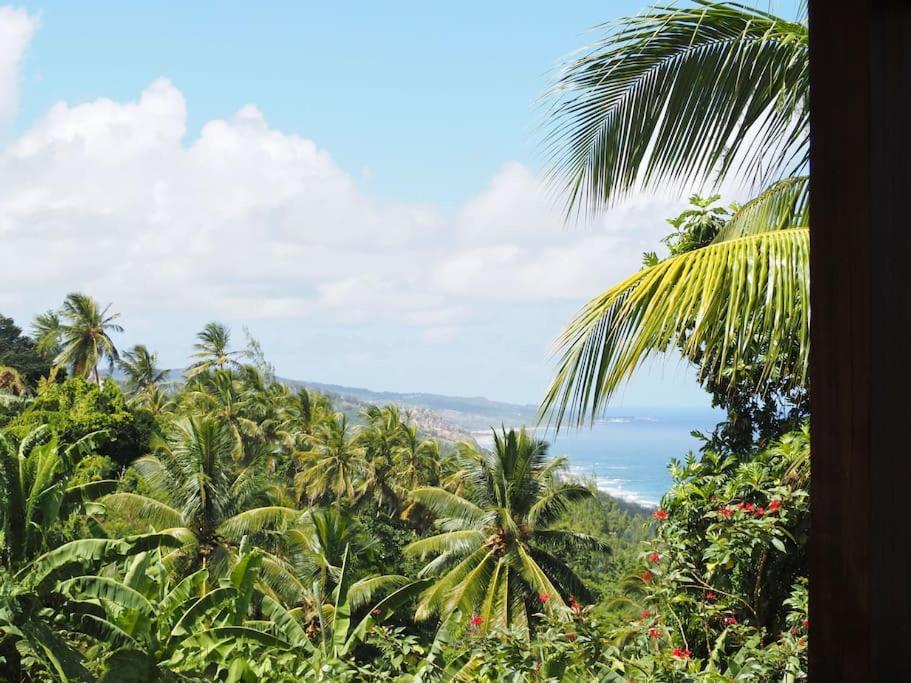 Little Diamond, Wooden Jungle House. Bathsheba. Casa de férias *