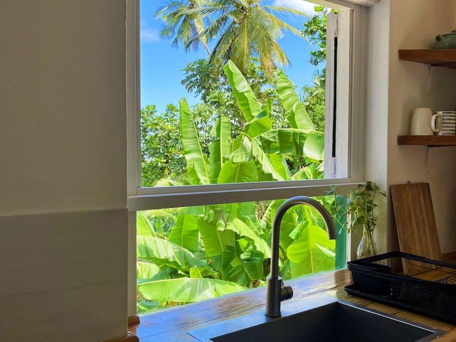 Little Diamond, Wooden Jungle House. Bathsheba. *