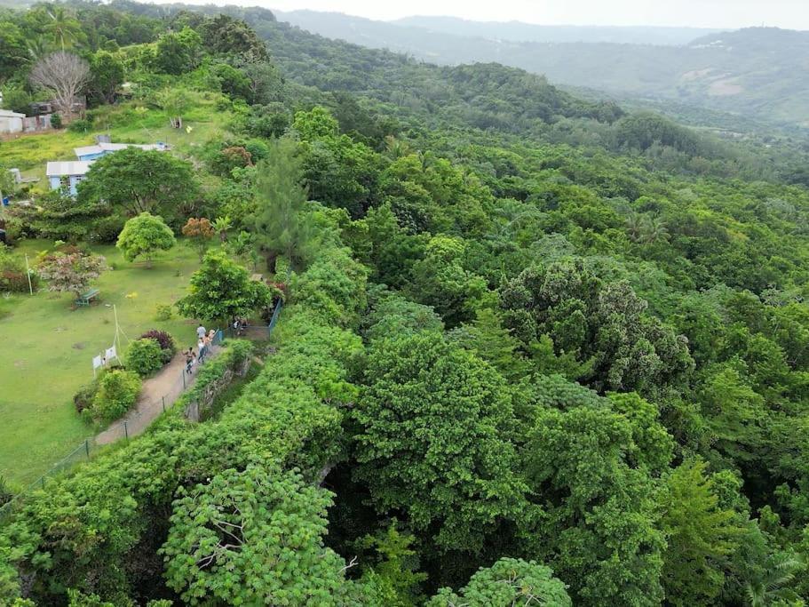 Little Diamond, Wooden Jungle House. Bathsheba. * Saint Joseph