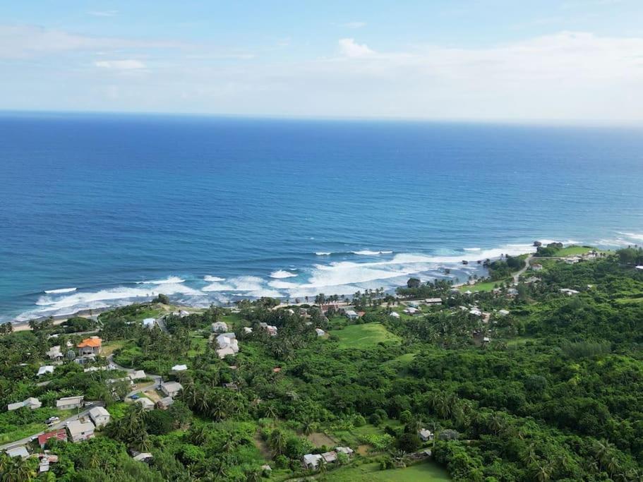 Little Diamond, Wooden Jungle House. Bathsheba. Casa de férias