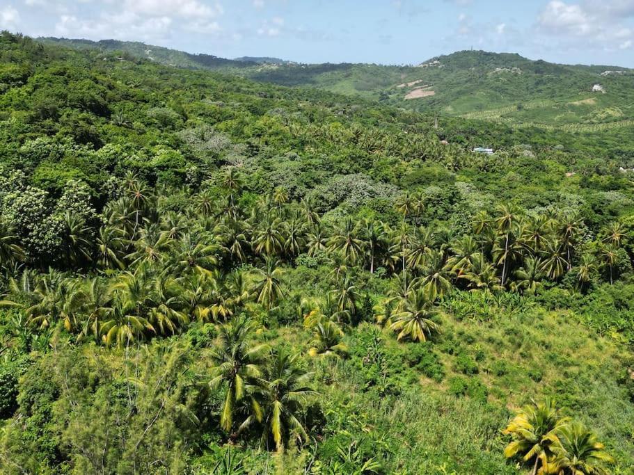 Casa de férias Little Diamond, Wooden Jungle House. Bathsheba. Saint Joseph
