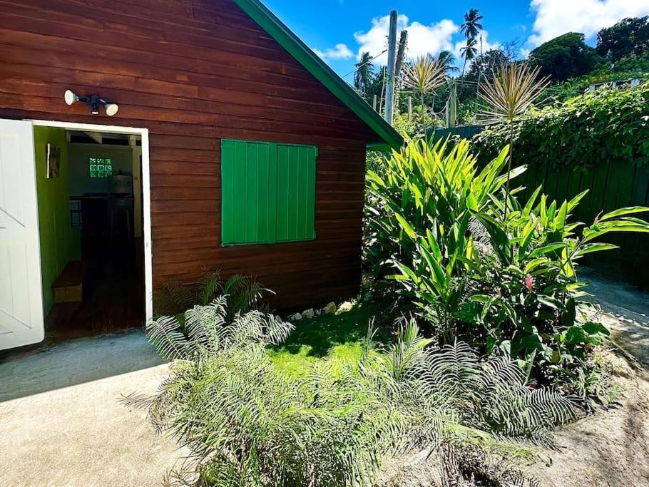 Little Diamond, Wooden Jungle House. Bathsheba.