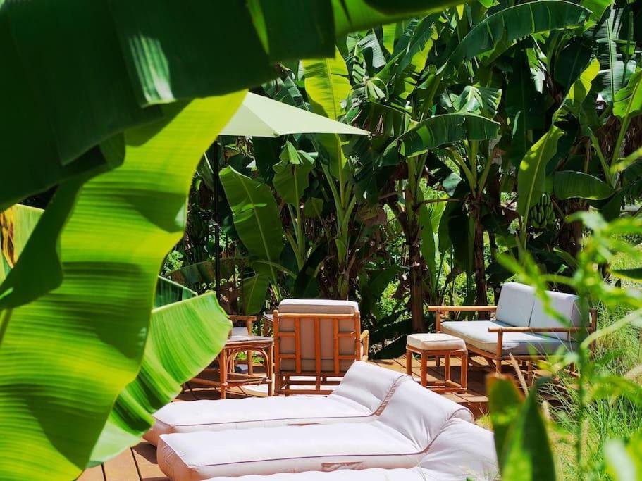 Little Diamond, Wooden Jungle House. Bathsheba. *