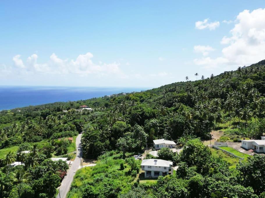 Little Diamond, Wooden Jungle House. Bathsheba. * Saint Joseph