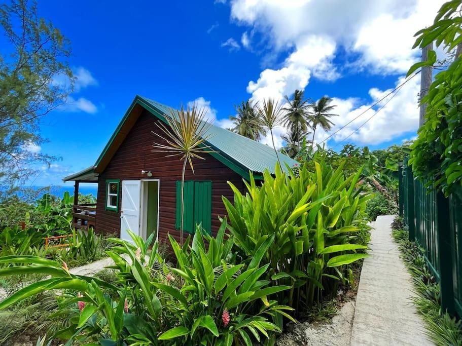 Little Diamond, Wooden Jungle House. Bathsheba. Saint Joseph