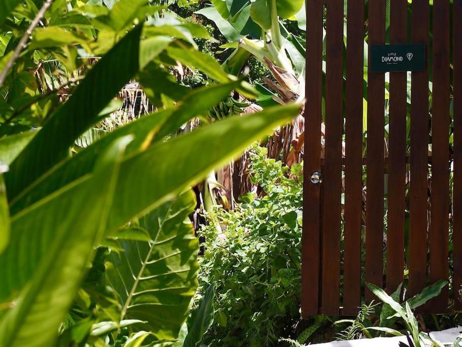 Little Diamond, Wooden Jungle House. Bathsheba. Casa de férias *
