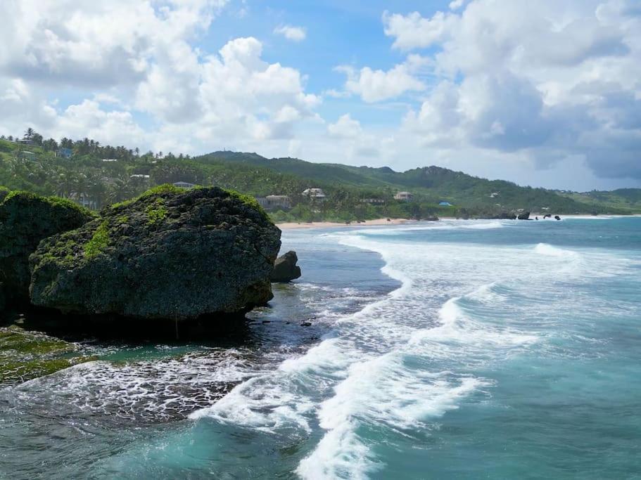 Little Diamond, Wooden Jungle House. Bathsheba.