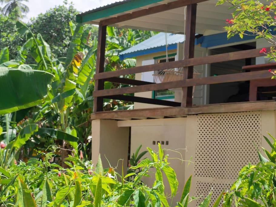Little Diamond, Wooden Jungle House. Bathsheba. *