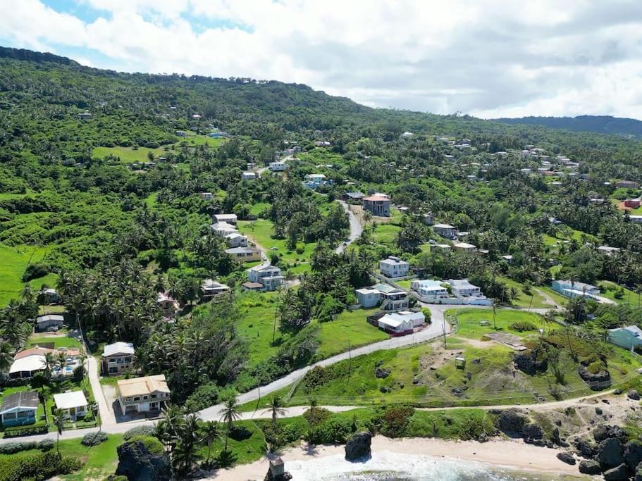 Little Diamond, Wooden Jungle House. Bathsheba. Saint Joseph