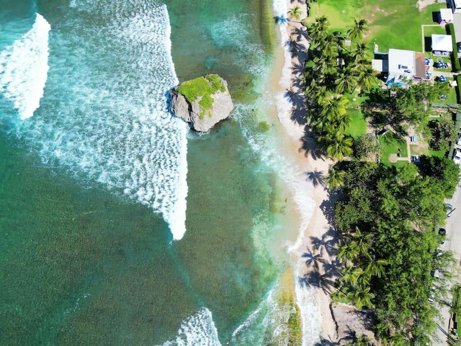 Casa de férias Little Diamond, Wooden Jungle House. Bathsheba.