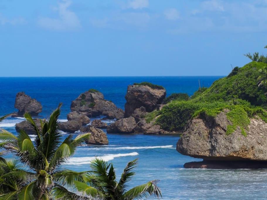 Casa de férias Little Diamond, Wooden Jungle House. Bathsheba. Saint Joseph