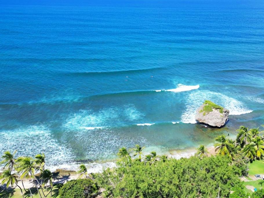 Little Diamond, Wooden Jungle House. Bathsheba. Saint Joseph