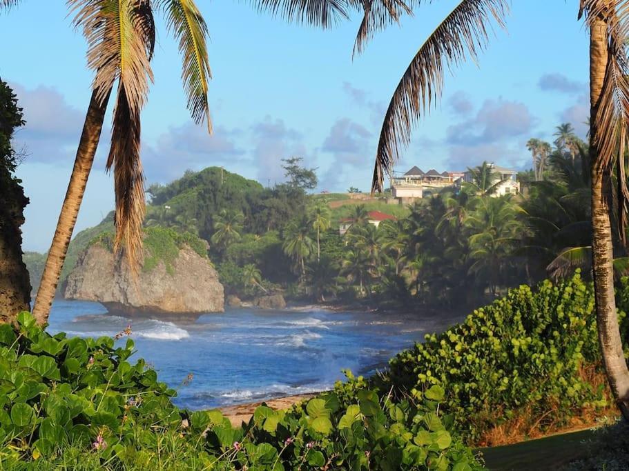 Little Diamond, Wooden Jungle House. Bathsheba. * Saint Joseph