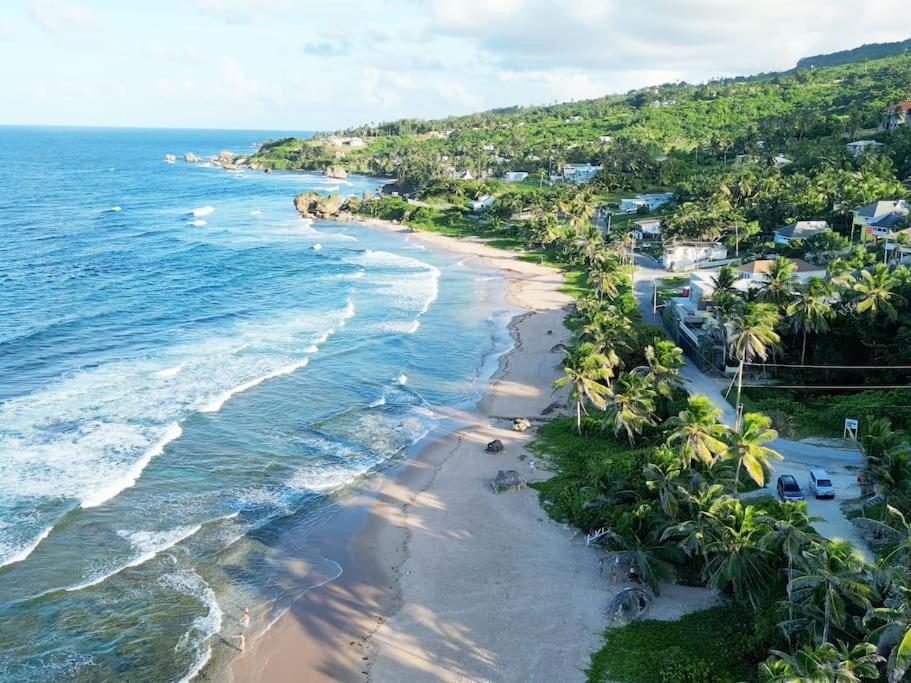 Little Diamond, Wooden Jungle House. Bathsheba. * Saint Joseph