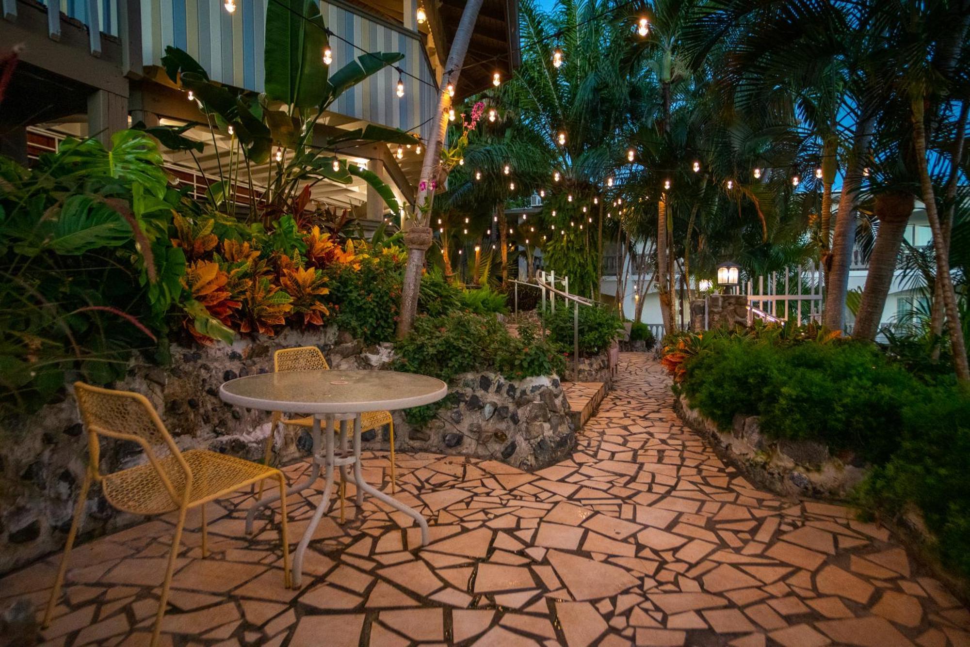 Lazy Parrot Hotel Rincon
