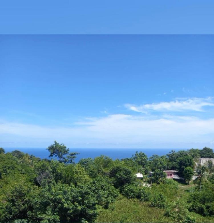 Misbhaven And * Port Antonio