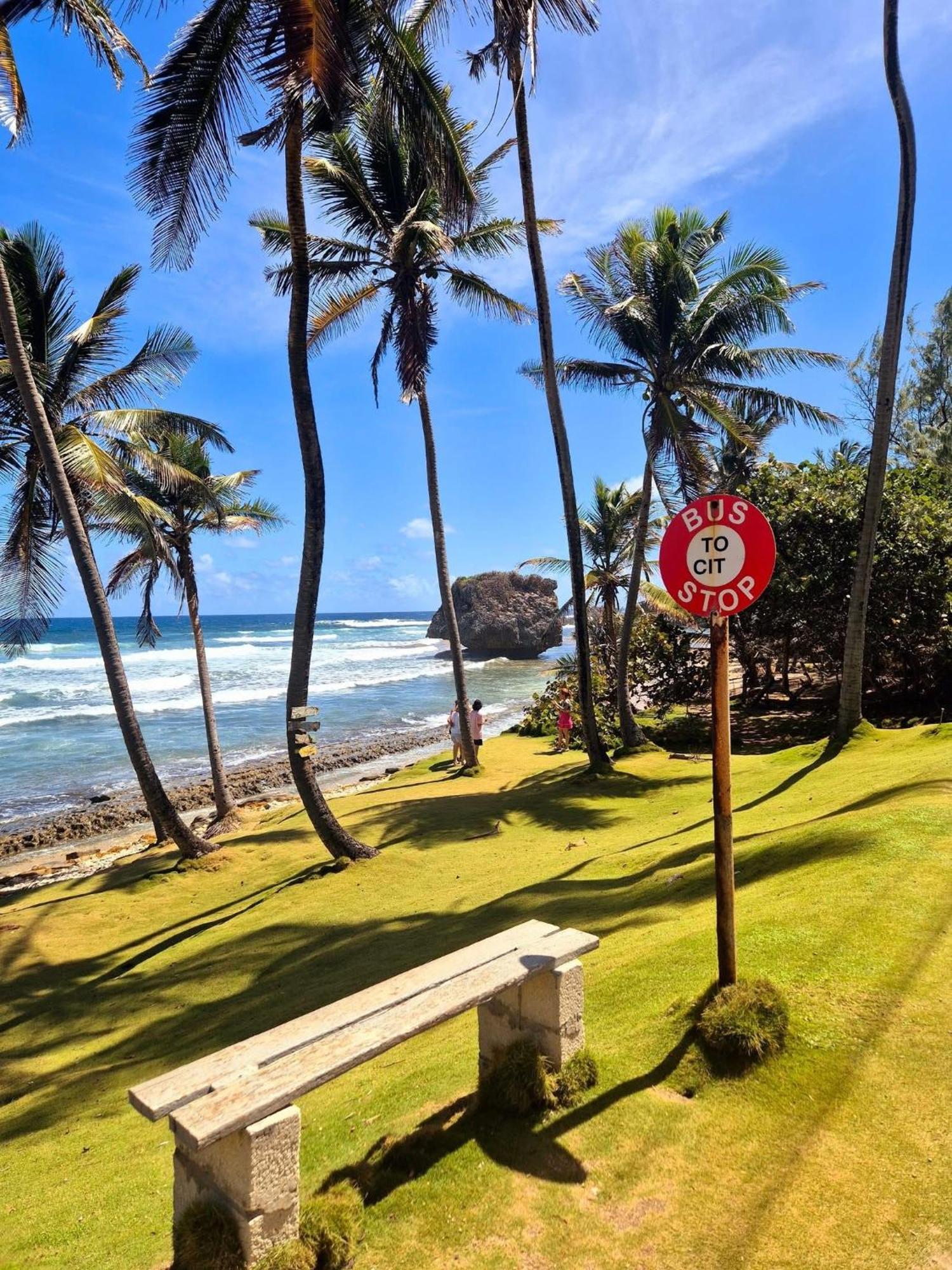 Casa de férias T.cole's