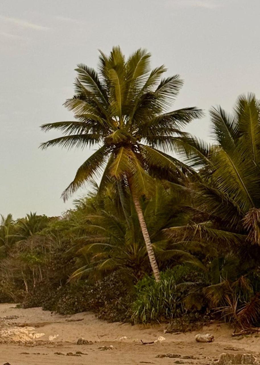 Apartment Perla Marina Condo- Walk To Yoga, & Food Sosua