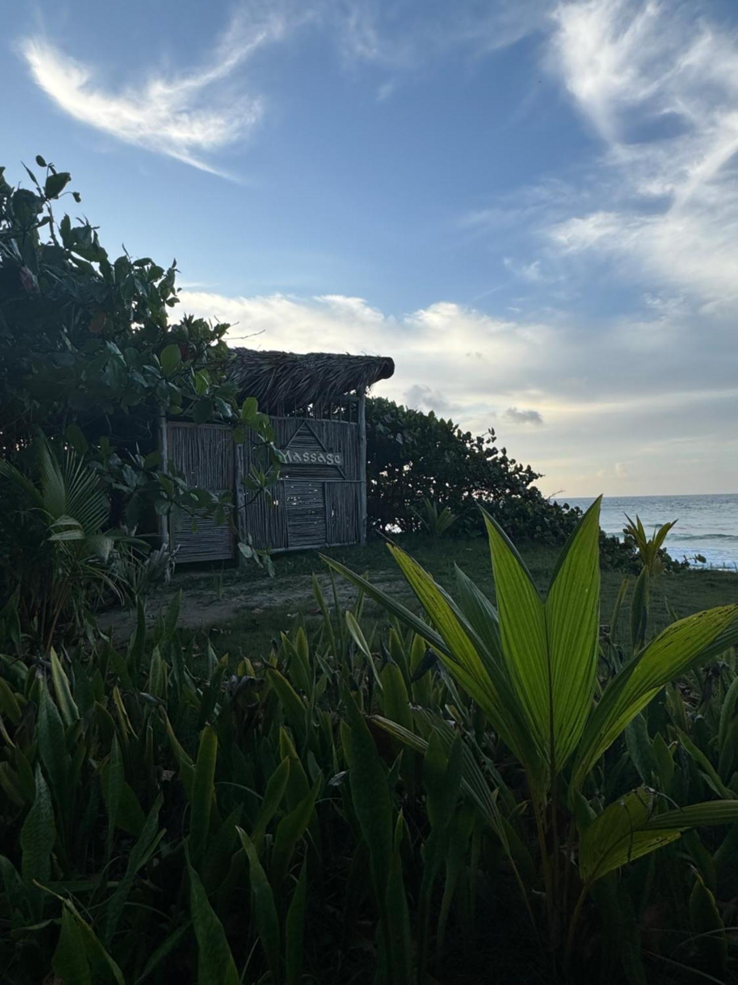 Apartment Perla Marina Condo- Walk To Yoga, & Food