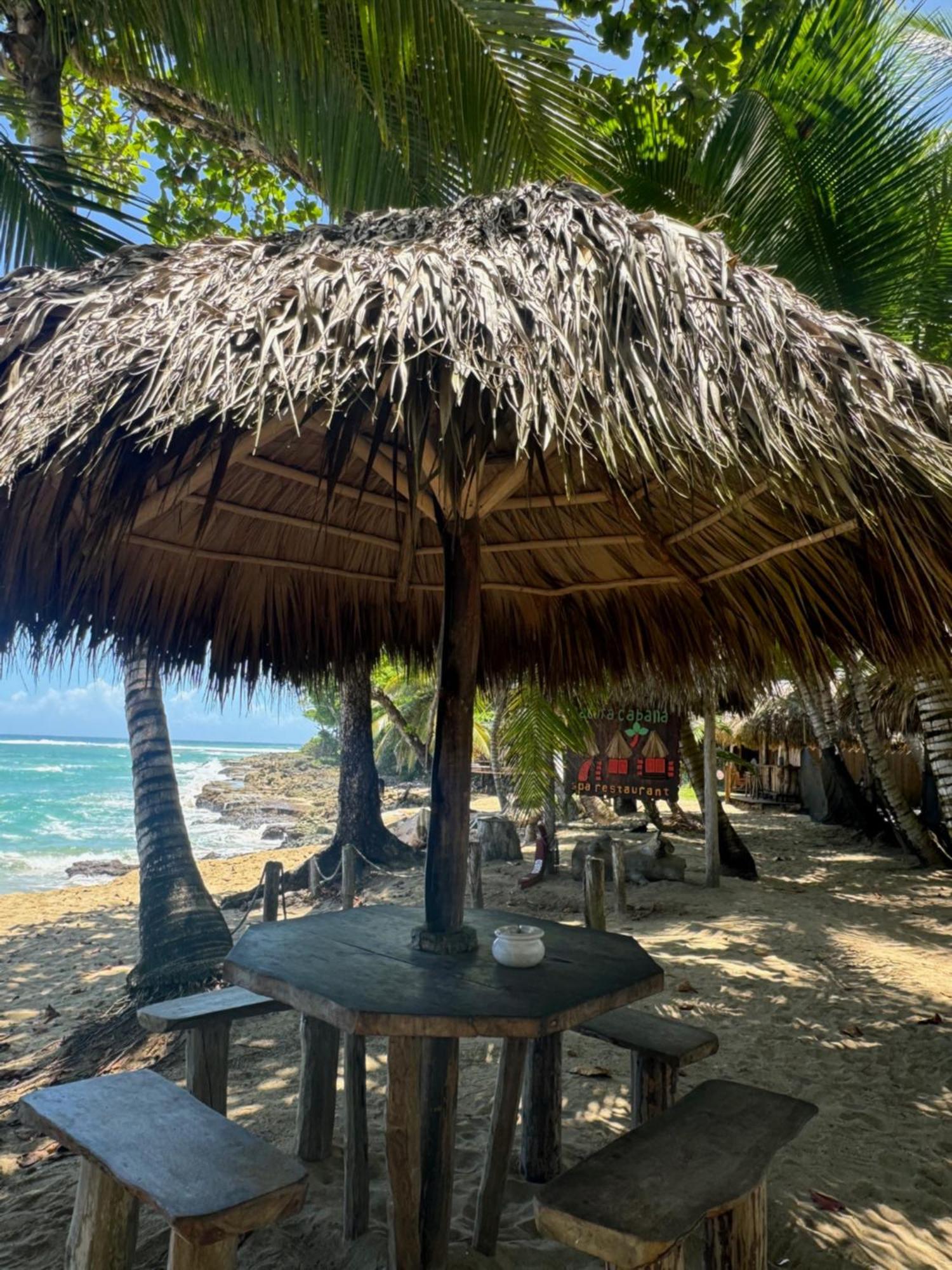 Perla Marina Condo- Walk To Yoga, & Food * Sosua