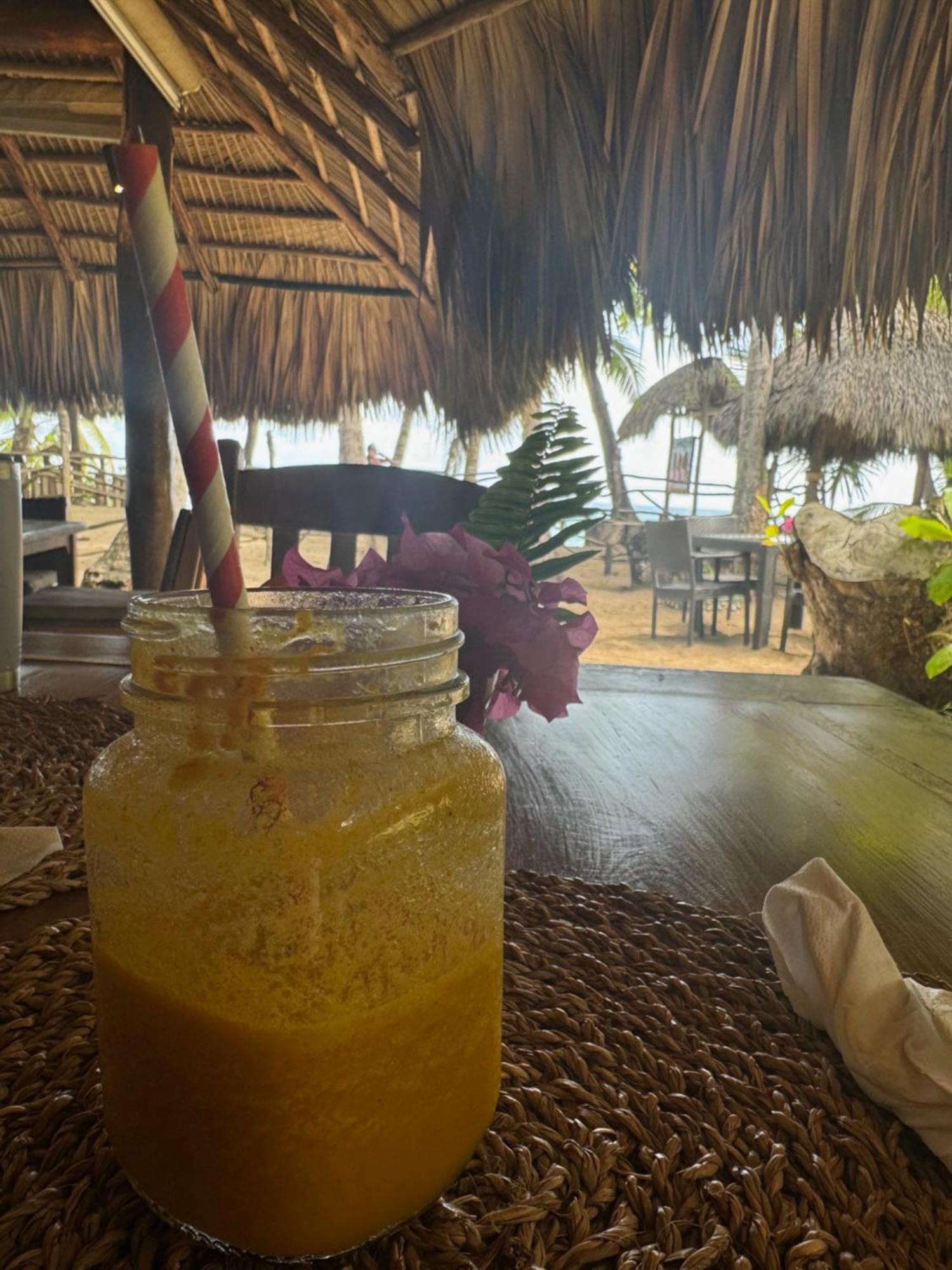 Perla Marina Condo- Walk To Yoga, & Food *