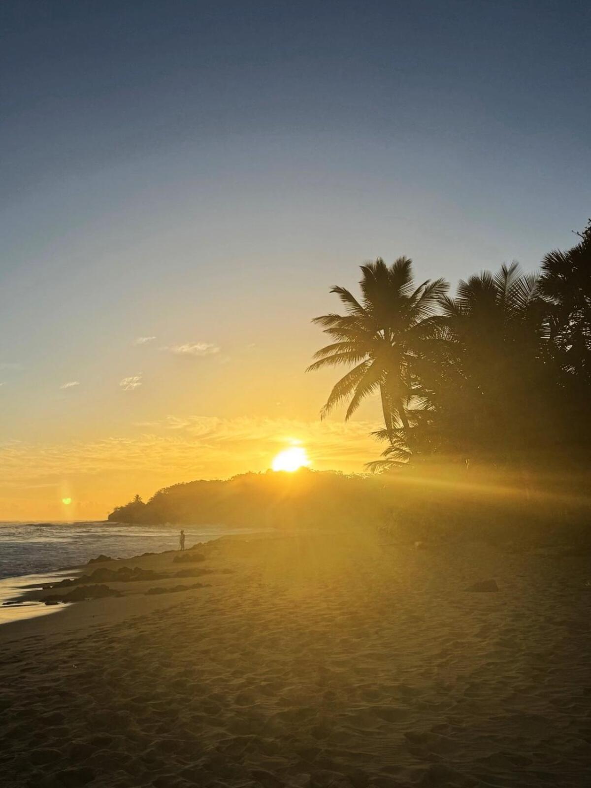 Perla Marina Condo- Walk To Yoga, & Food * Sosua