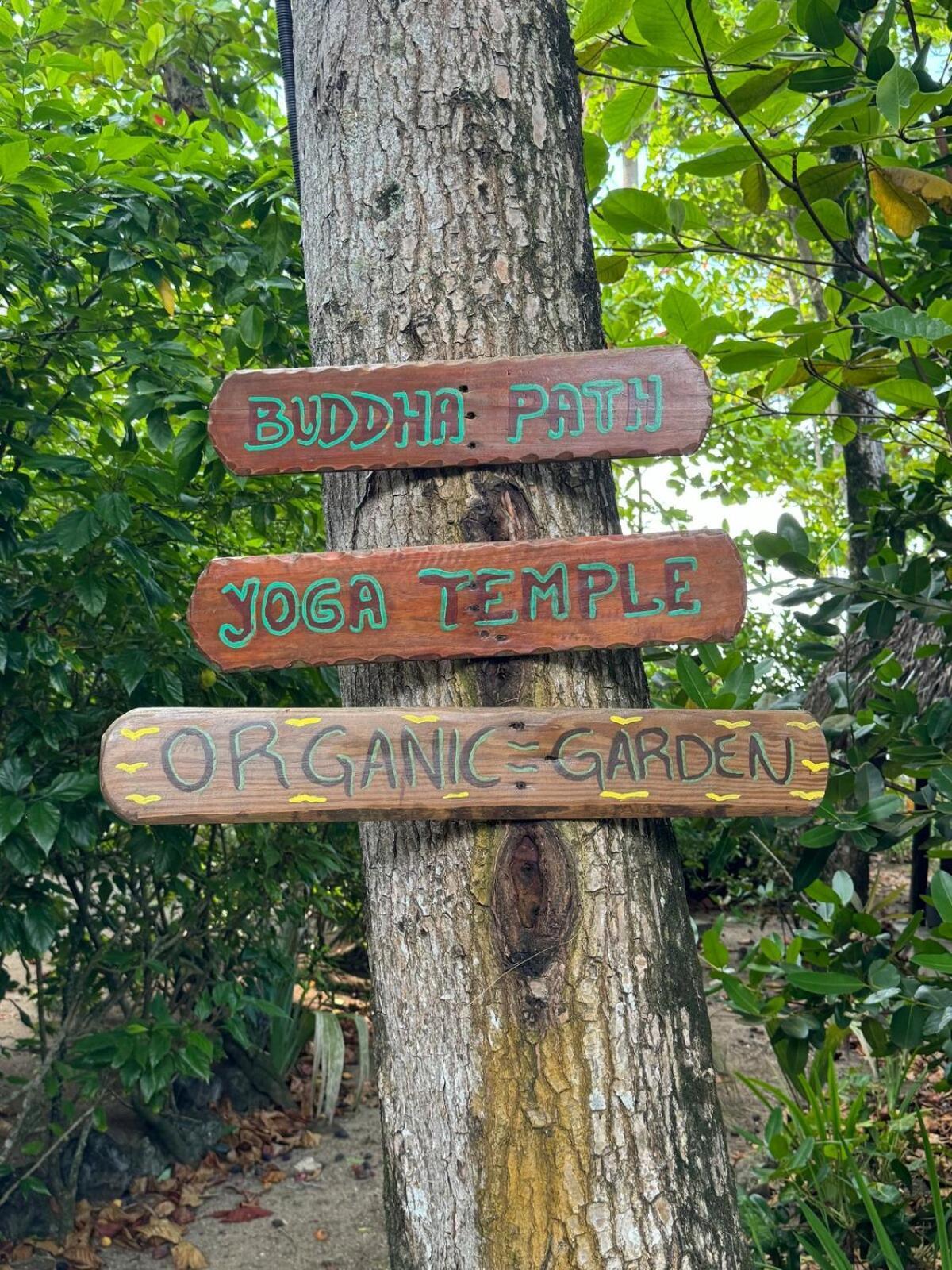 Perla Marina Condo- Walk To Yoga, & Food Apartment