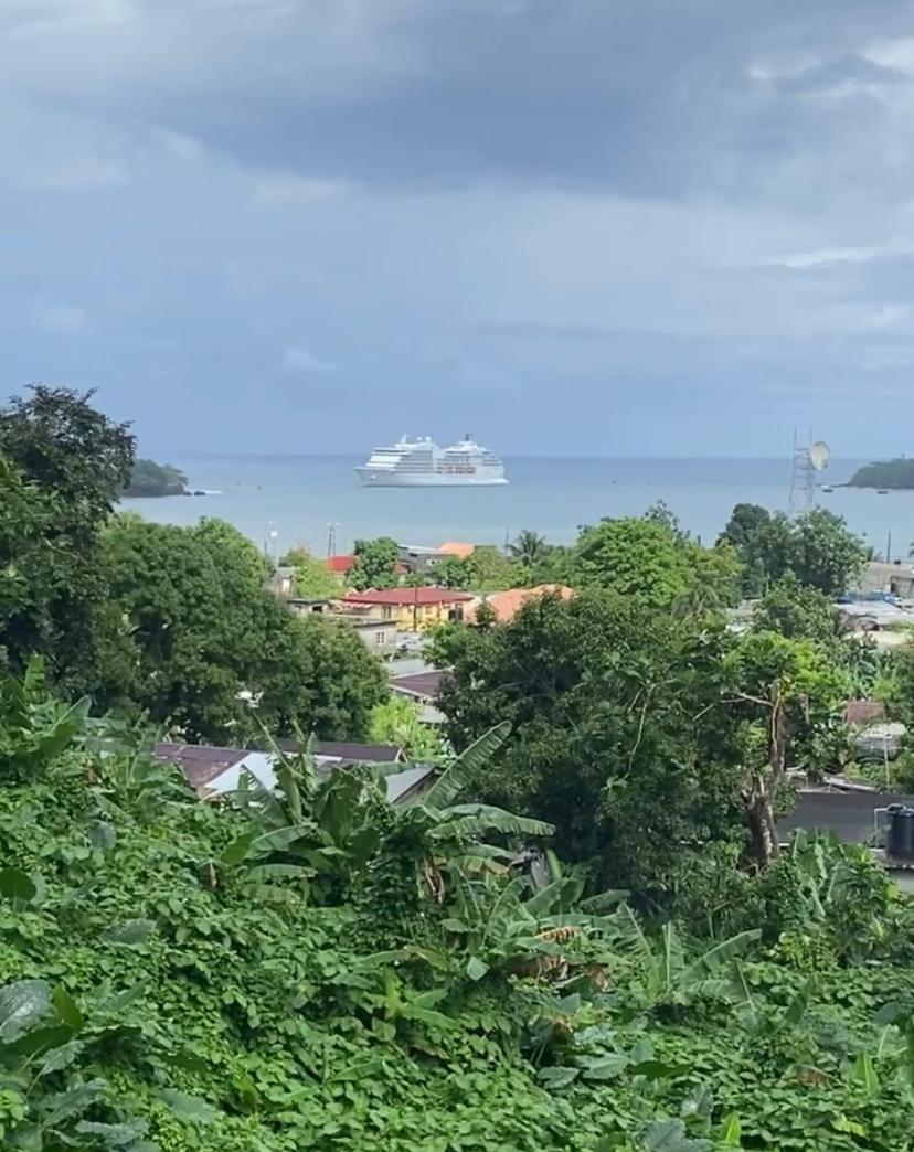 Viva Violas Albergue Port Antonio
