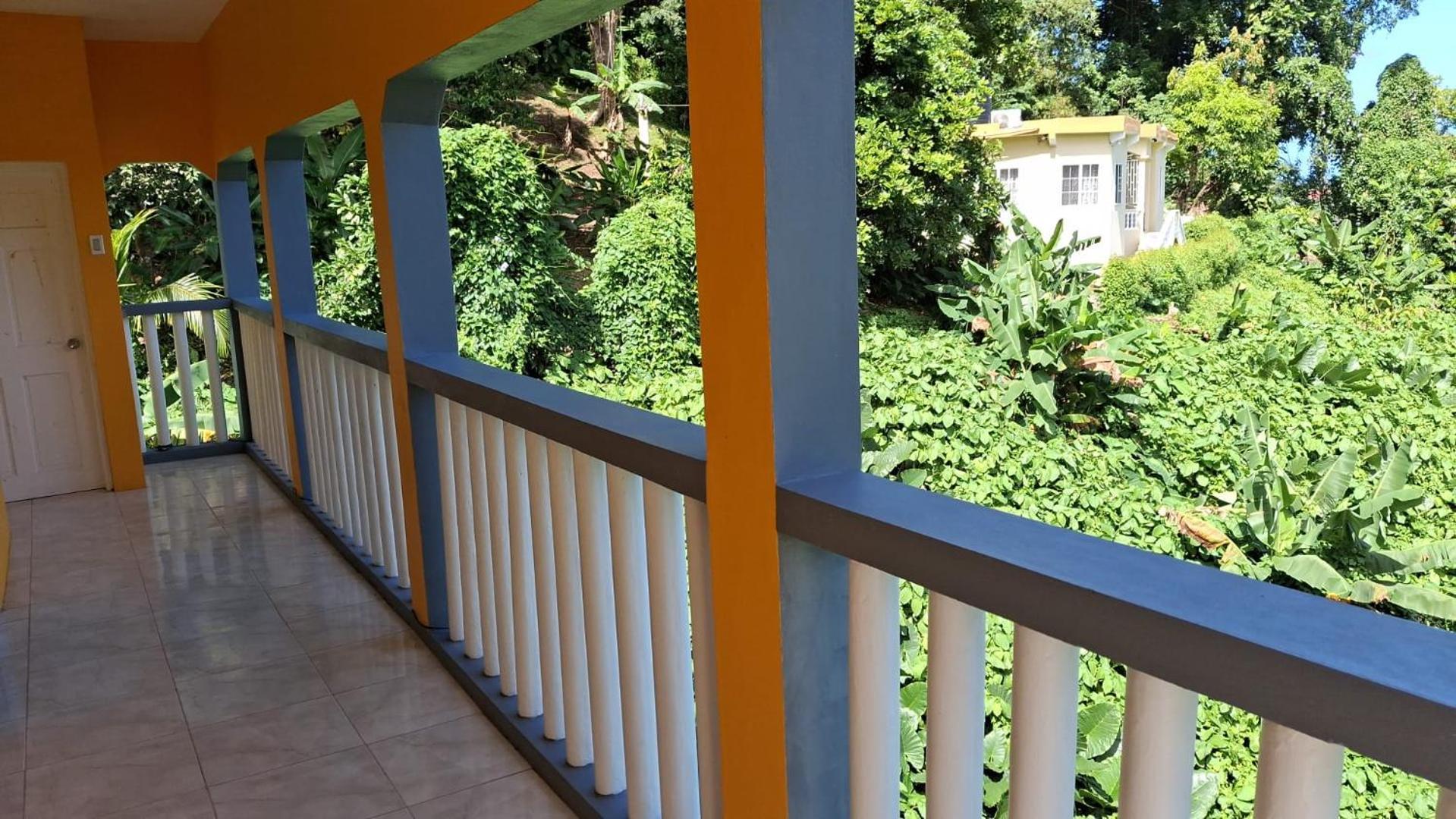 Albergue Viva Violas Port Antonio