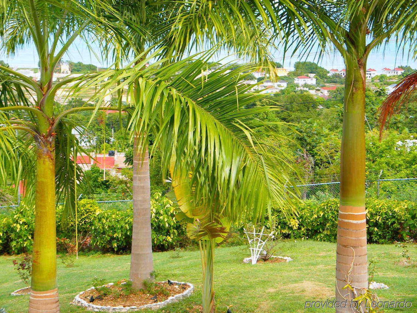 Emerald View Montego Bay