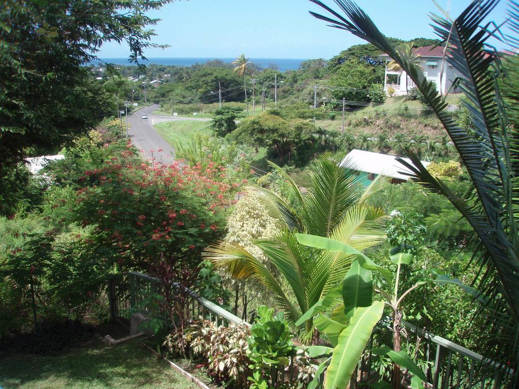 The Nest Tobago Buccoo