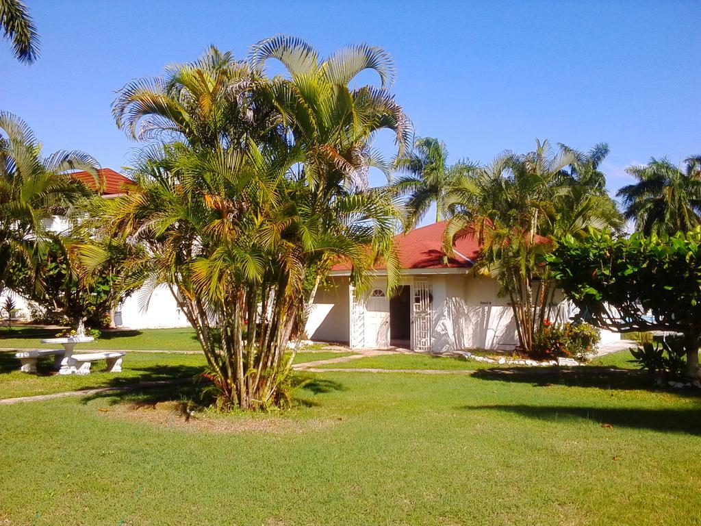 Executive Mammee Bay Hotel