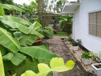Guest house Golden Thistle
