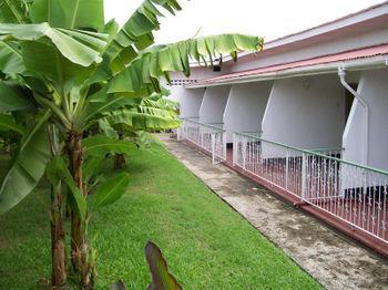 Golden Thistle Guest house 2*
