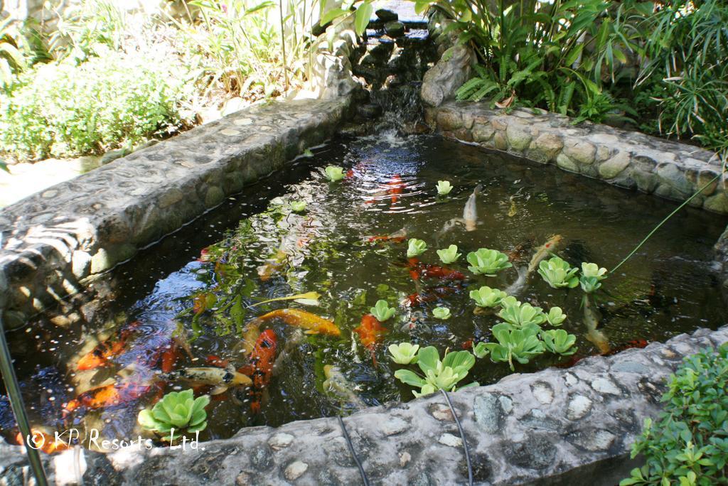 Hotel Enchanted Waters Tobago