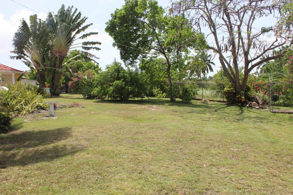 Loyola 3*