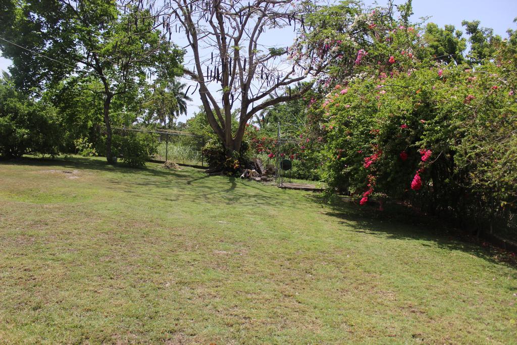 Loyola Ocho Rios