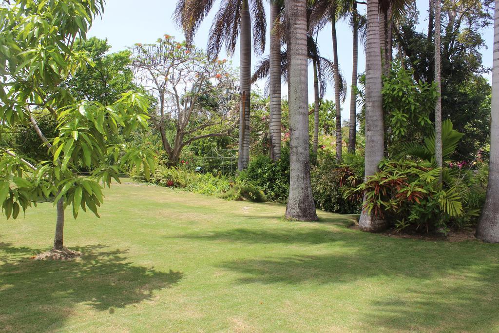 Loyola Ocho Rios