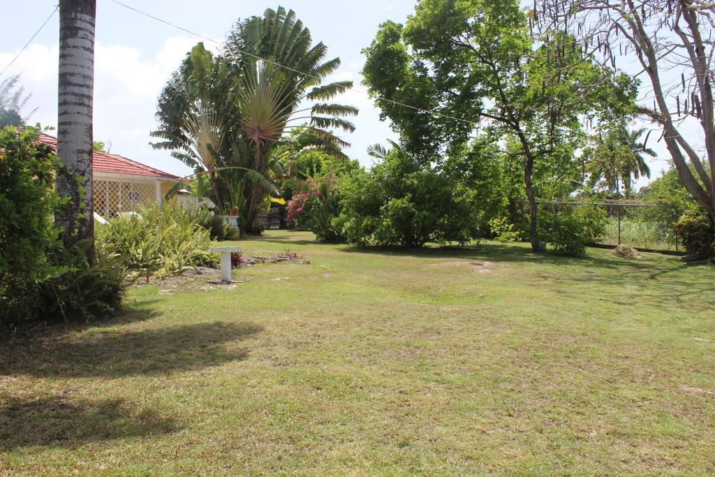 Loyola Ocho Rios