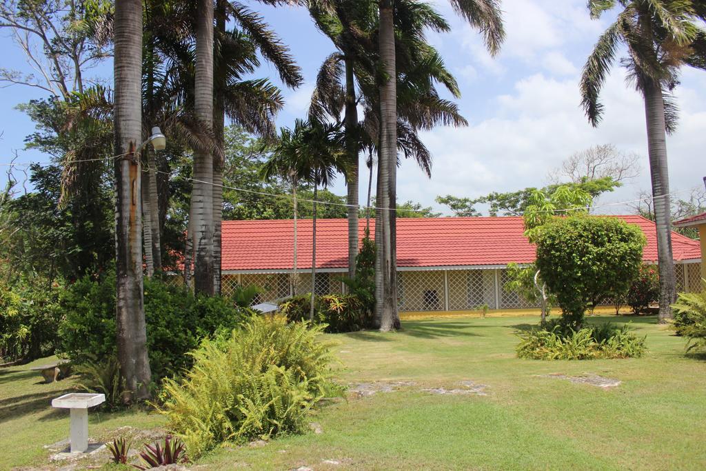 Loyola 3*