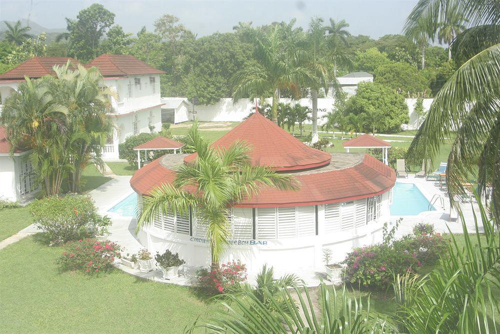 Hotel Executive Mammee Bay 3*