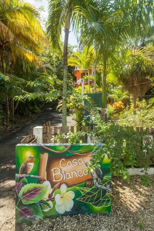 Casa Bianca Guest house Rincon
