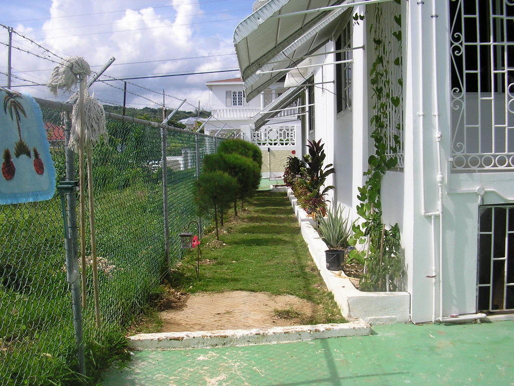 Paradise Place